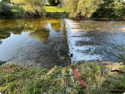 Schwelle für Fische wird umgebaut