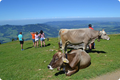 Tourismusfamilie in Vorarlberg leistet hervorragende Arbeit