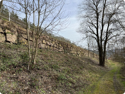 Stützmauer an der B 31 wird saniert