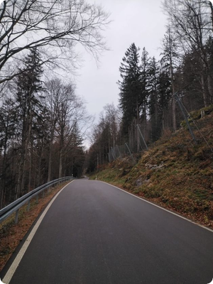 Freie Fahrt auf der Kandelstraße